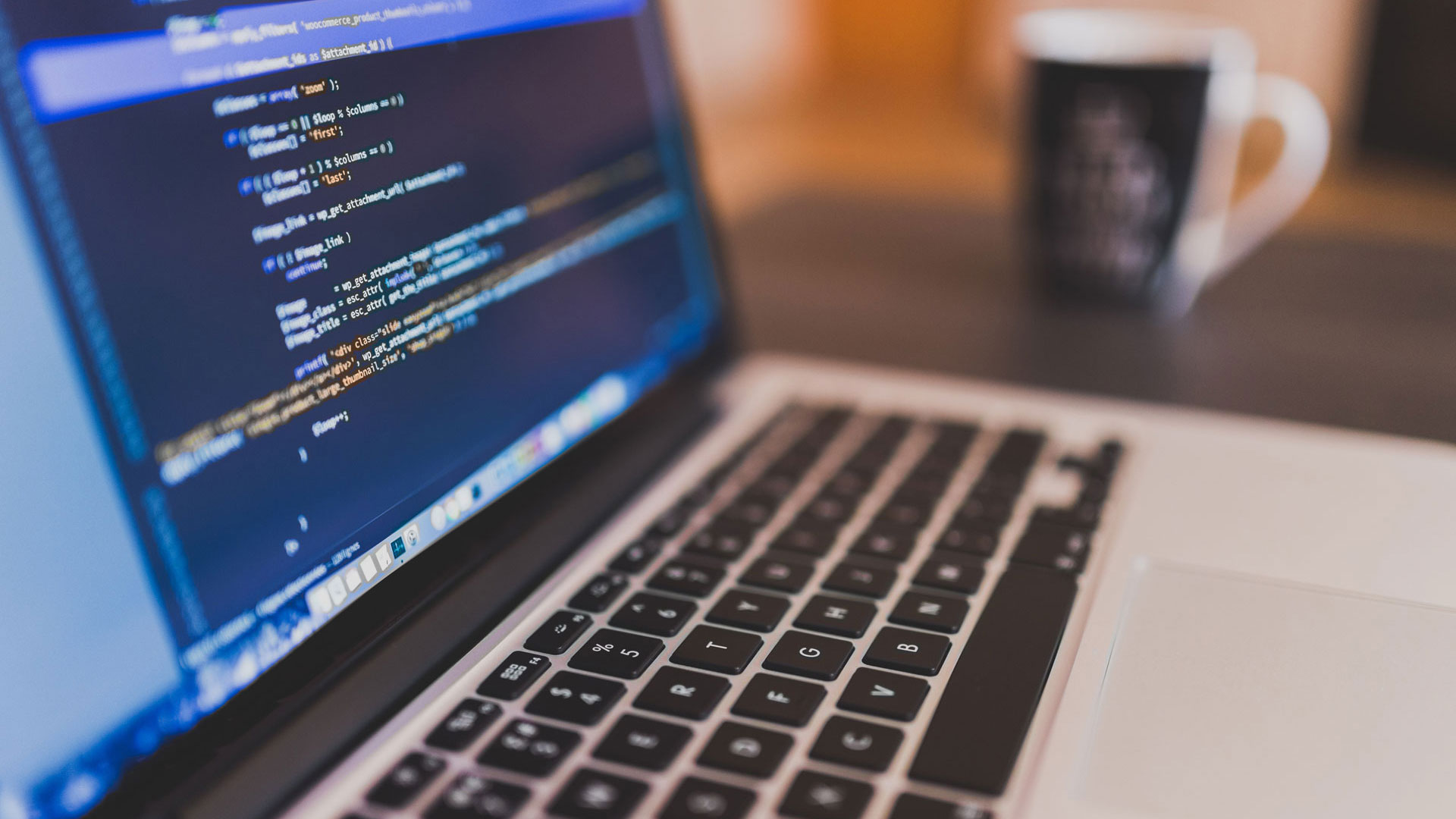 Web Solution Web Solution