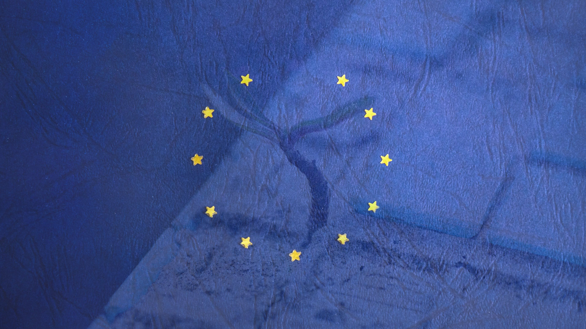 Il tuo Ecos è conforme al GDPR? Il tuo Ecos è conforme al GDPR?